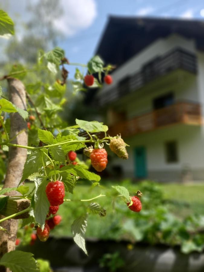 The Riverside Chill Hostel Bled Exterior photo